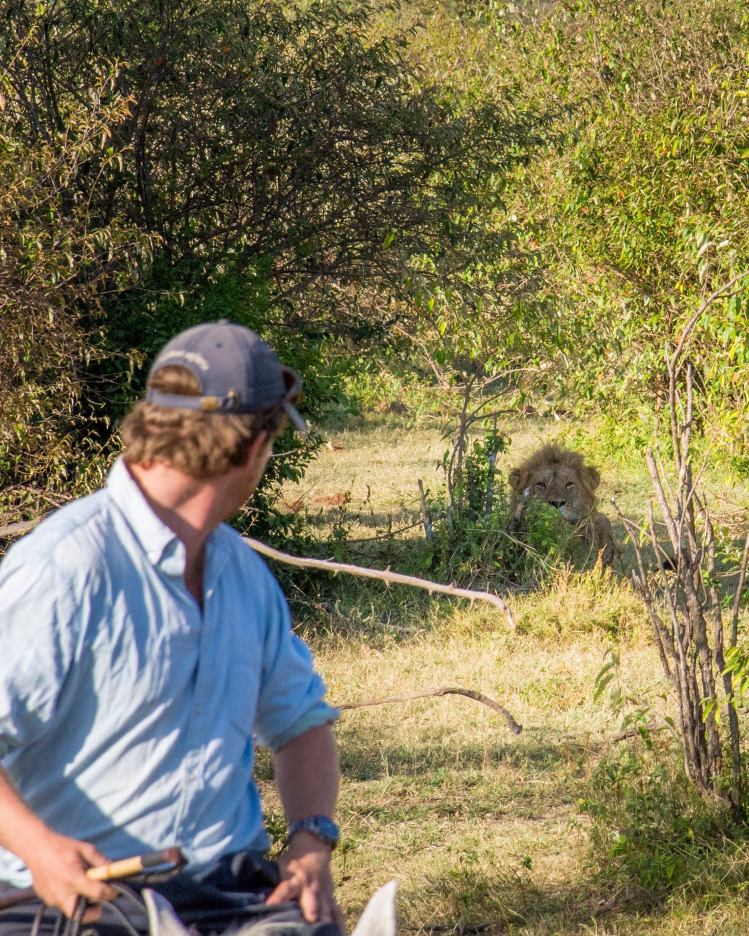 Horseback safari Kenya Masai Mara