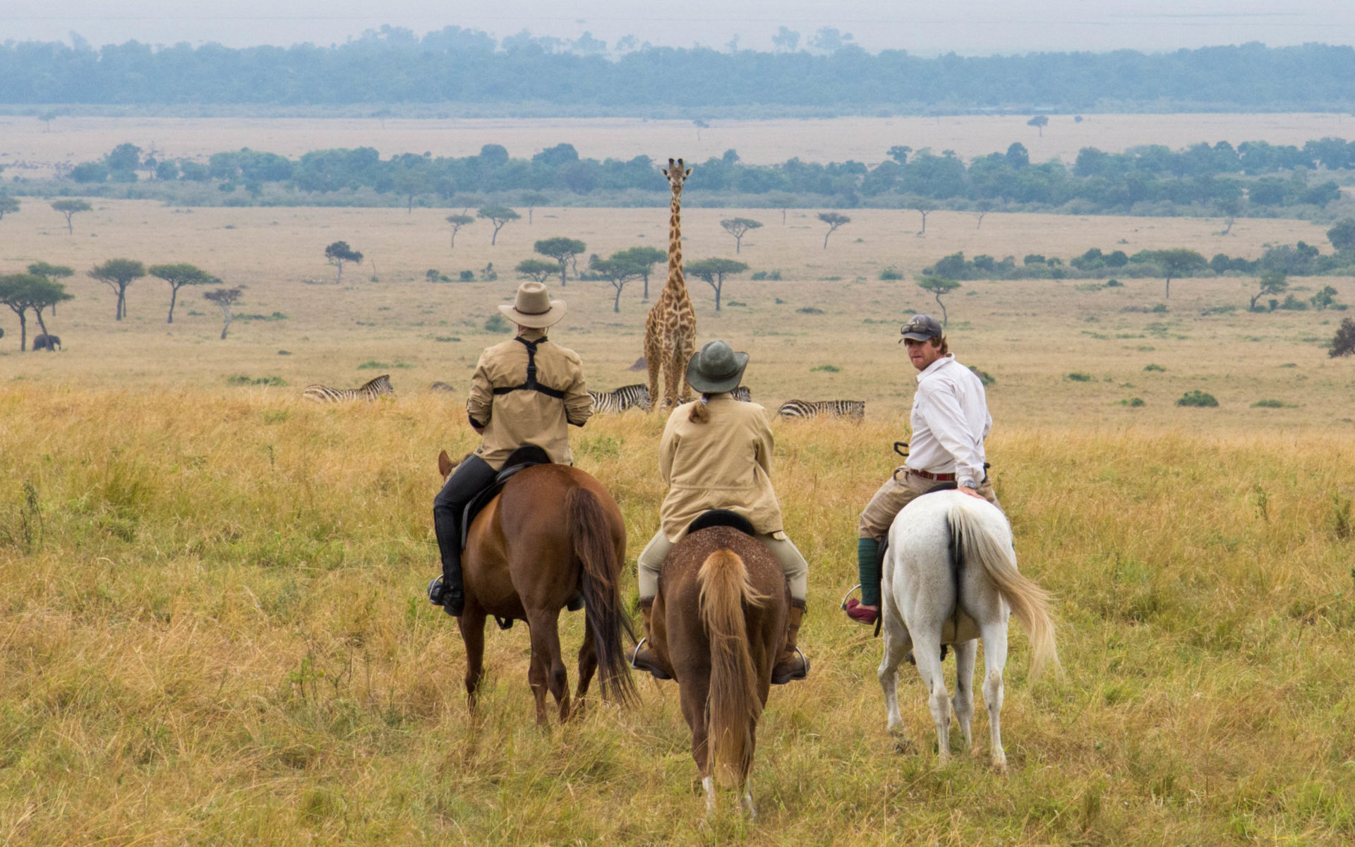 safari-adventure