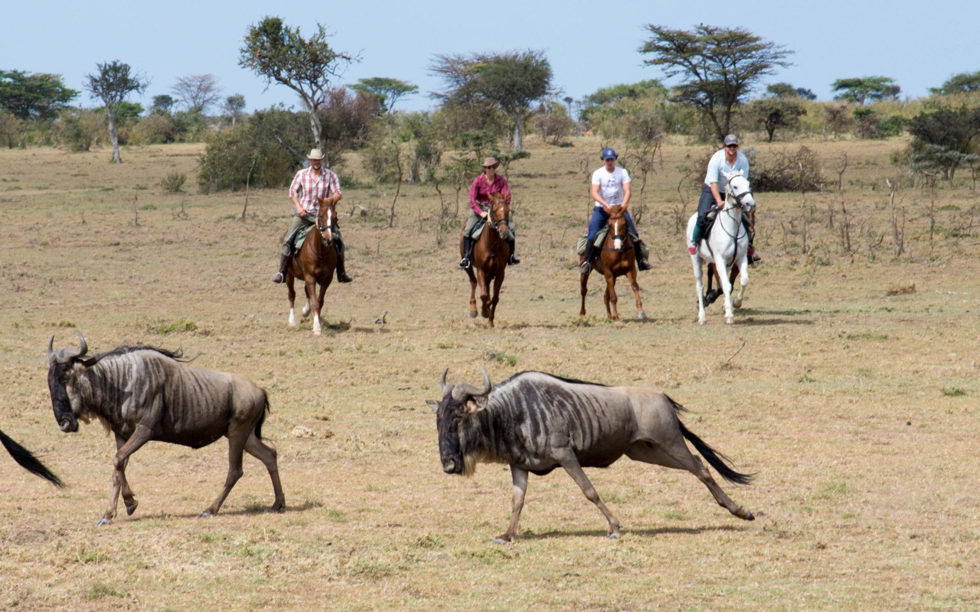 Horseback Safari