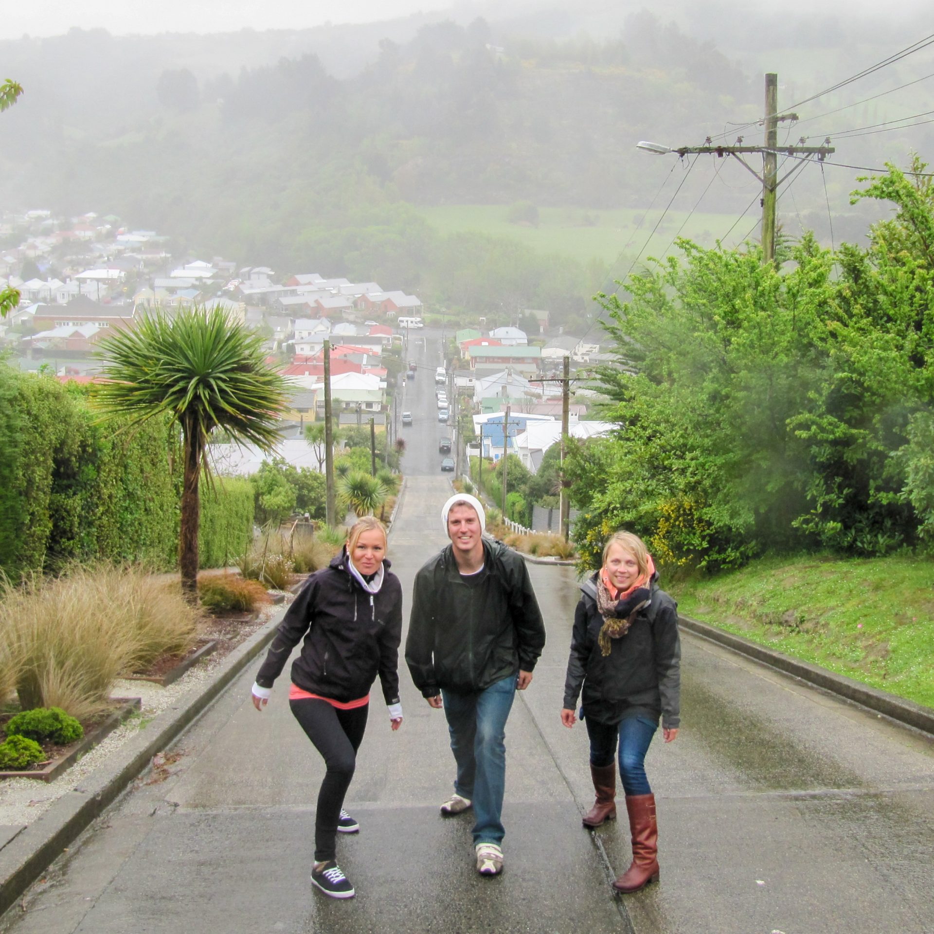 New Zealand south island itinerary (1) WOrlds steepest street