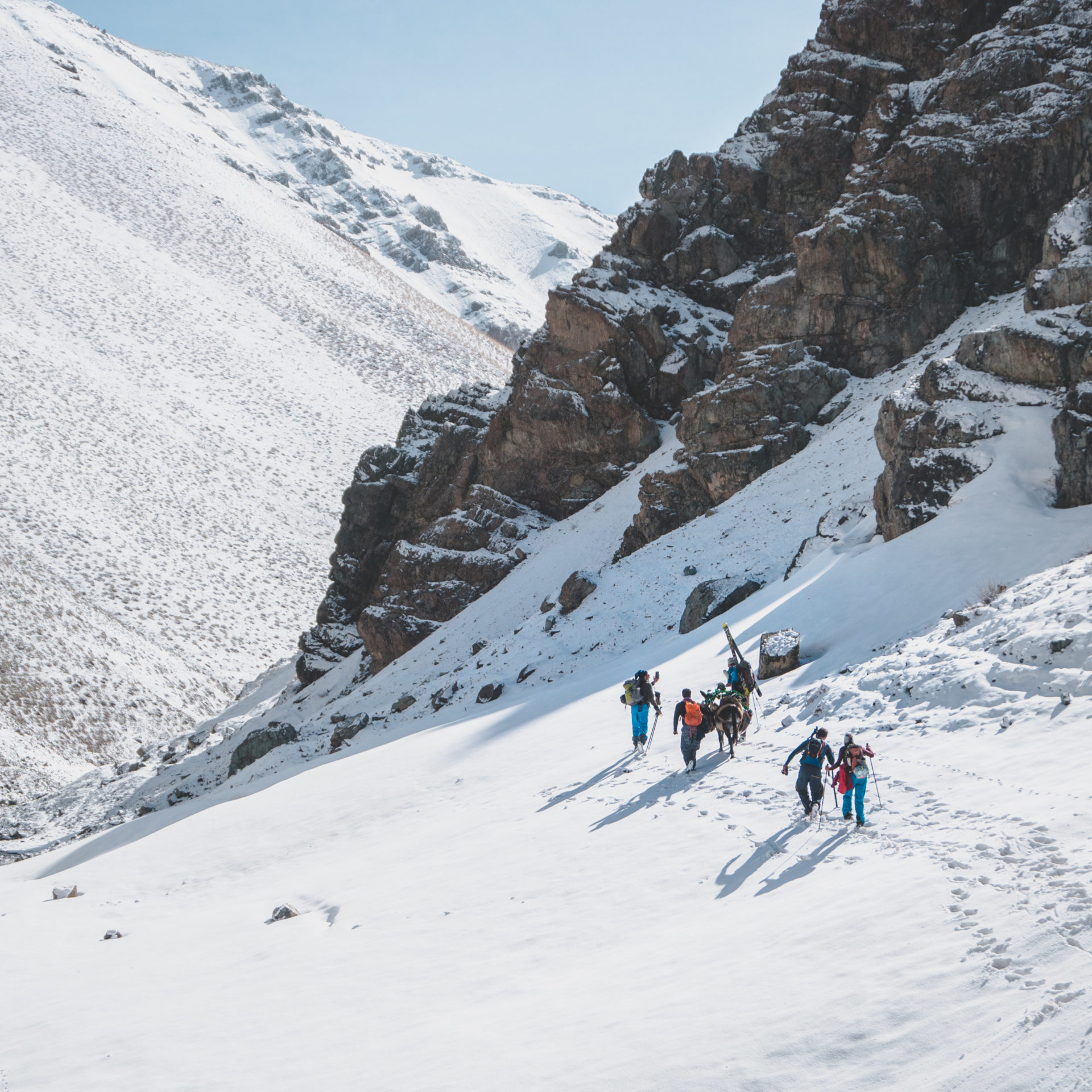 Ziba Adventures Ski Touring Iran donkey Ziba Adventures Ski Touring Iran donkey