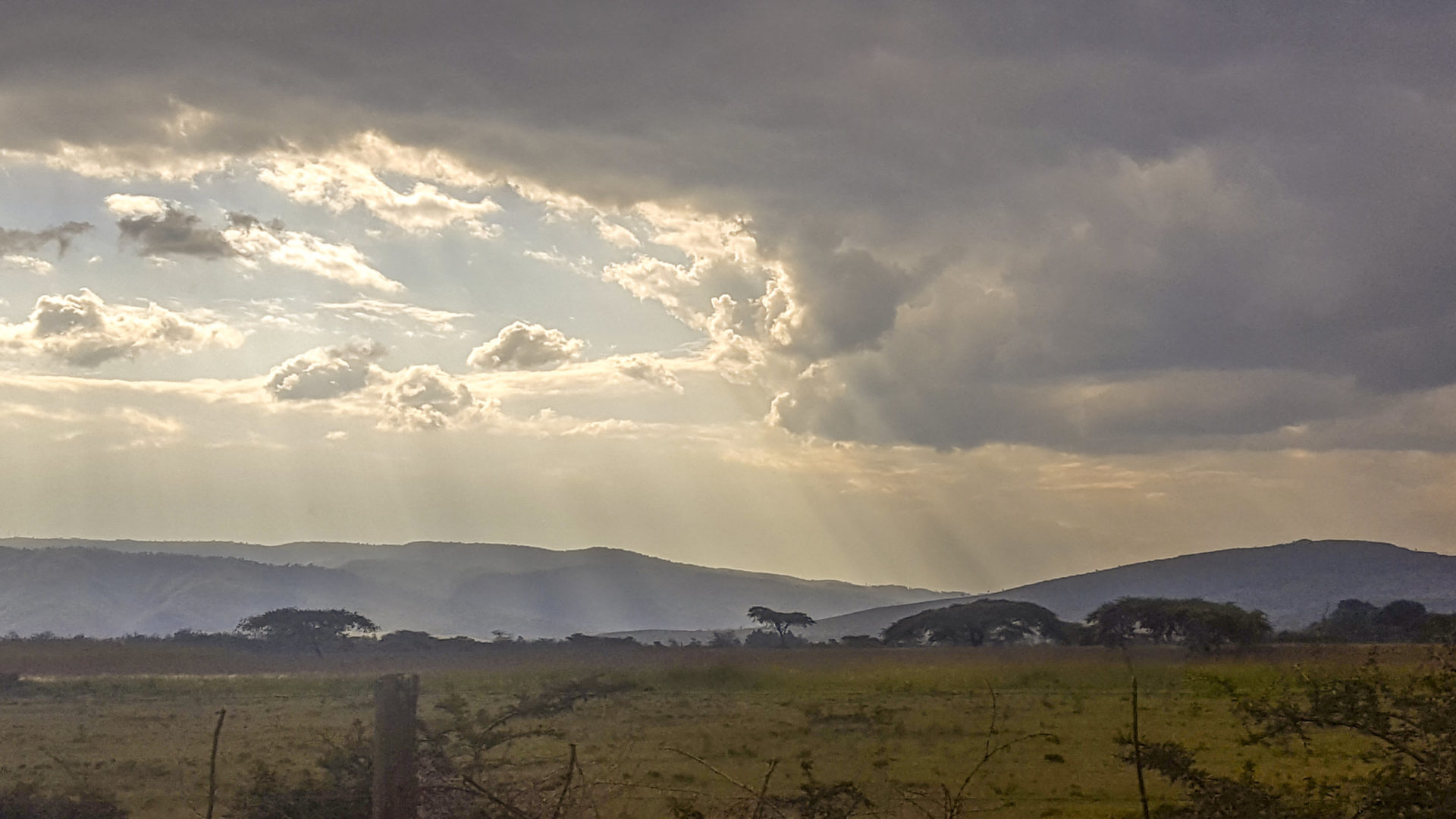 44 rongai-kenya