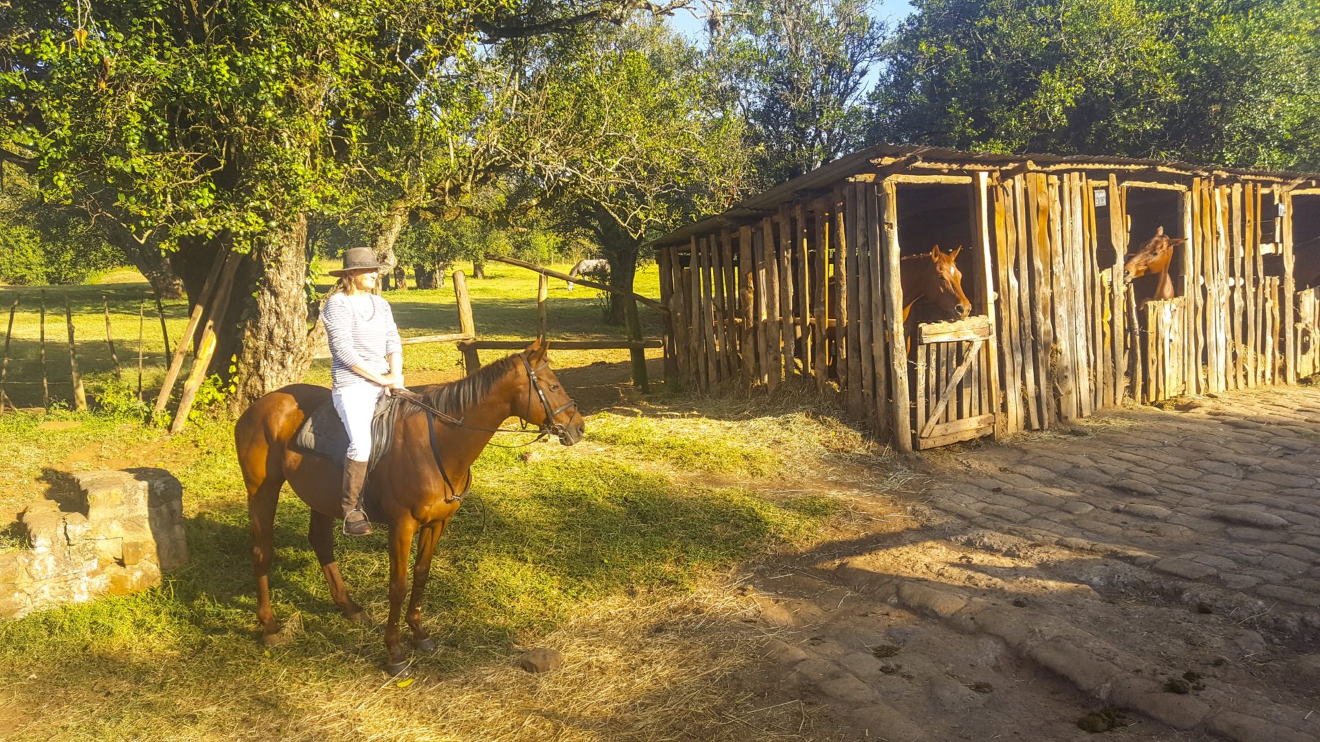 47 horse-riding