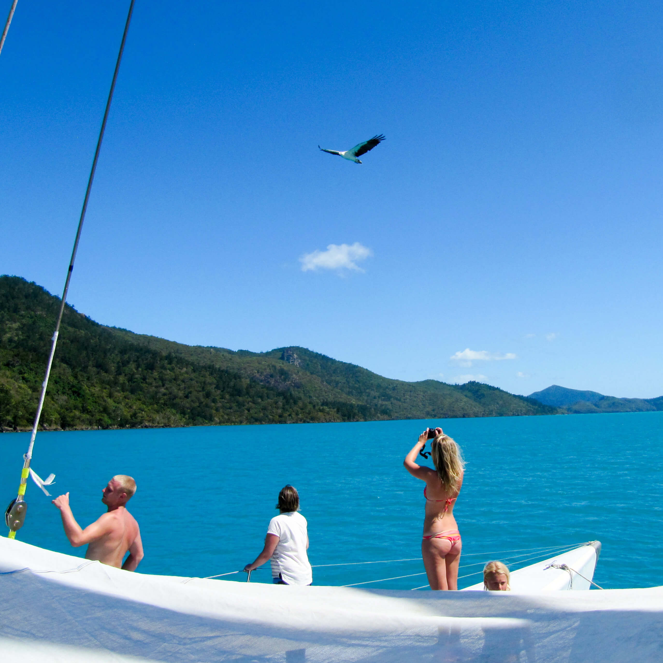 IMG_3385 Sydney-to-Cairns-Road-trip-whitsunday-islands