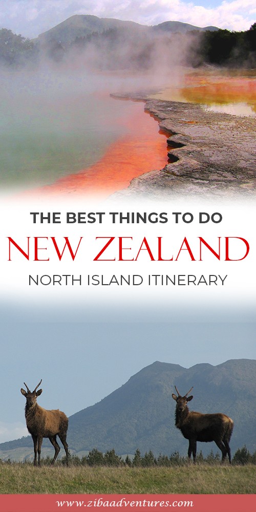 NEW ZEALAND NORTH 01 LONG new-zealand-pinterest