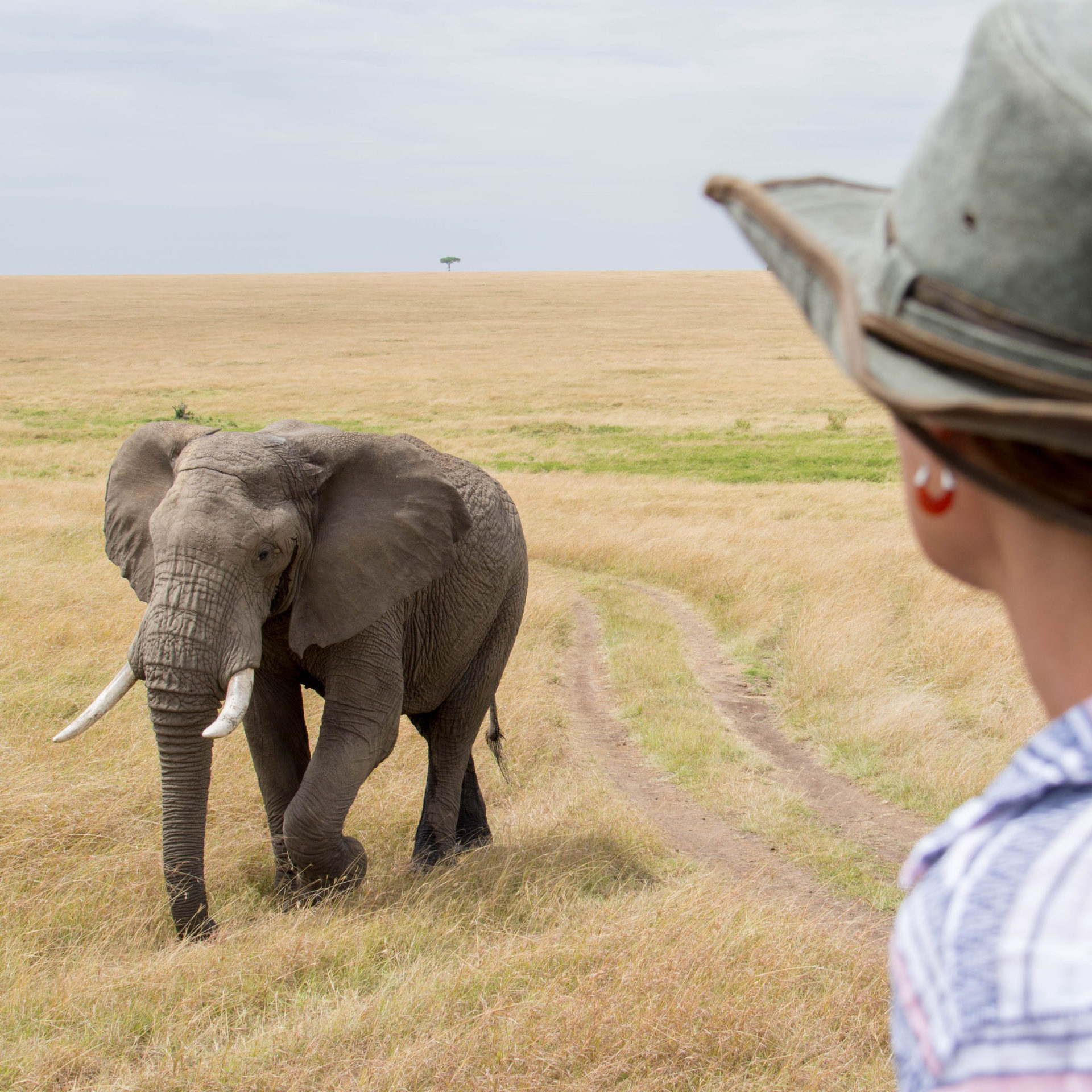 Tips-for-Your-First-African-Safari