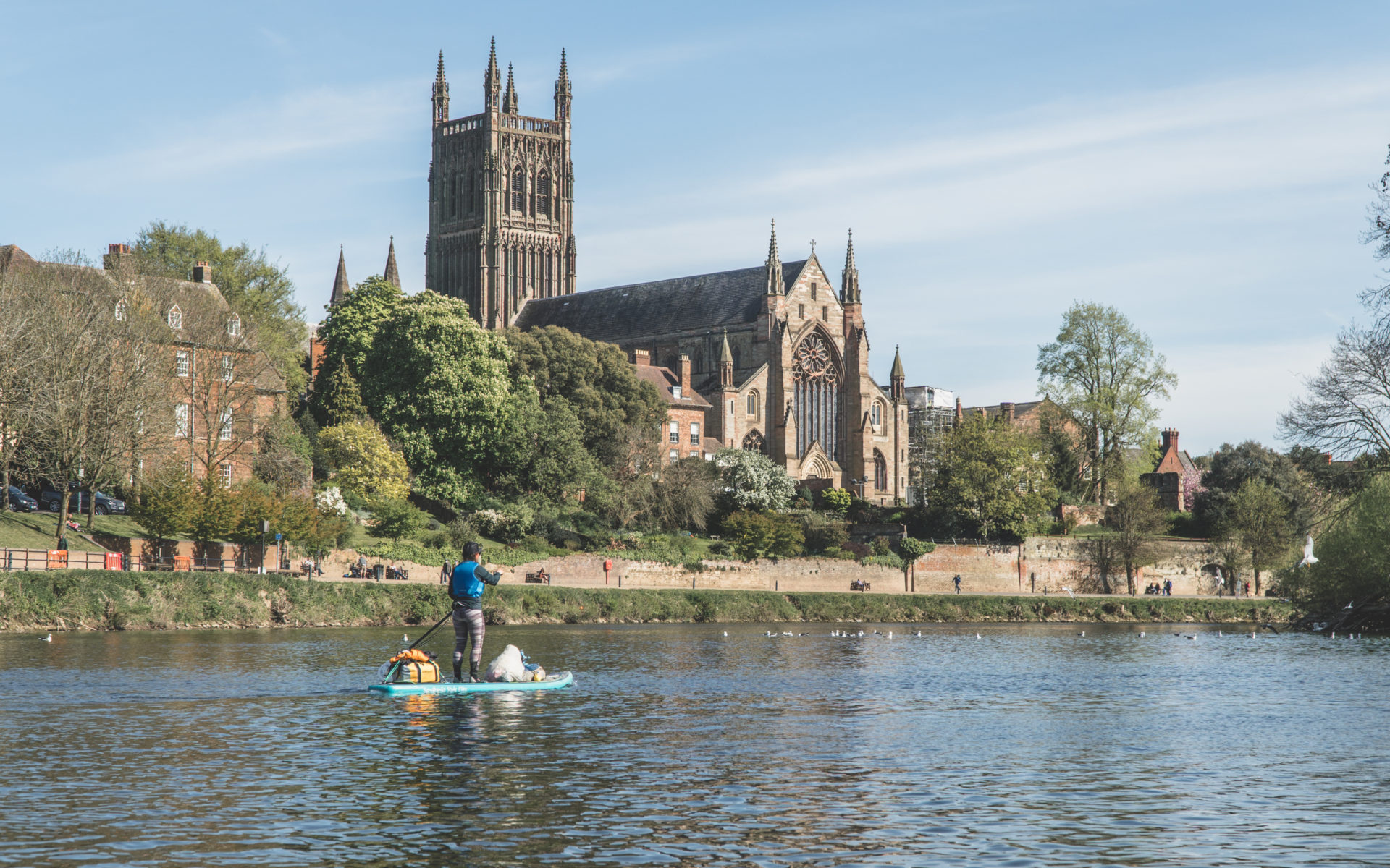 DSC09244-2 SUP-Worcester
