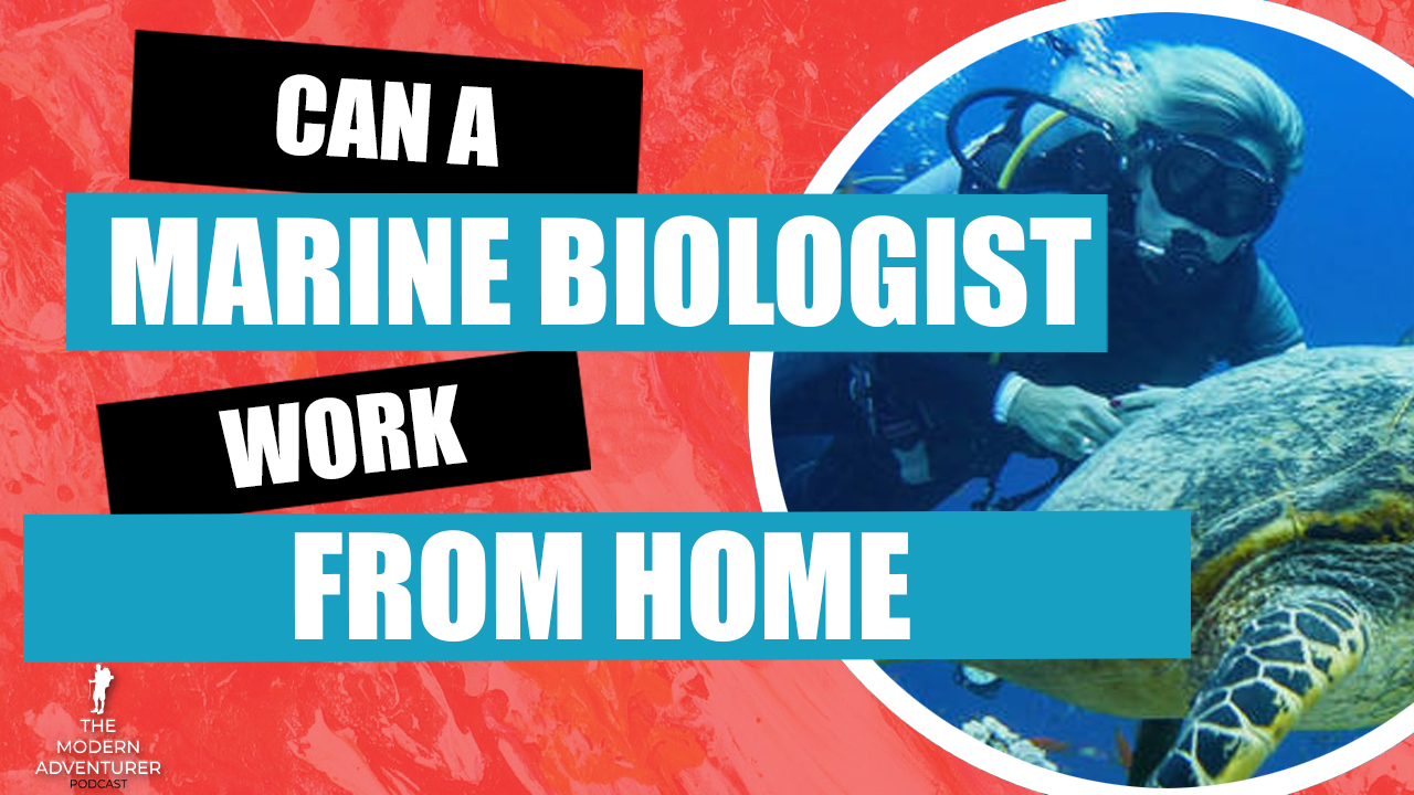 Can a Marine Biologist work from home Ziba Adventures