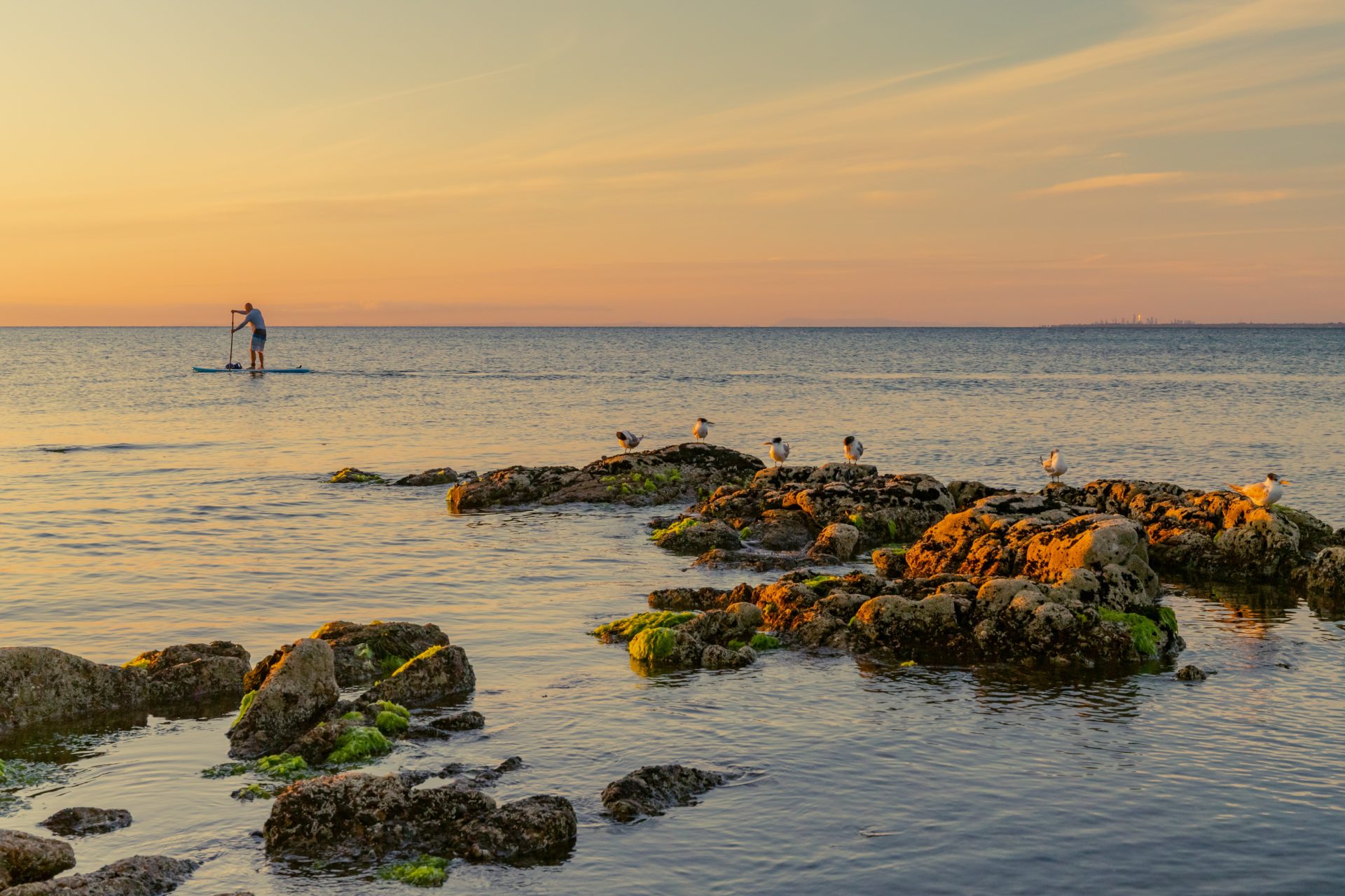 pexels-mitchell-luo-3891327 paddle-boarding-devon
