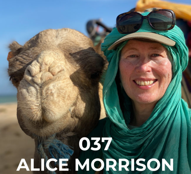 alice-morrison