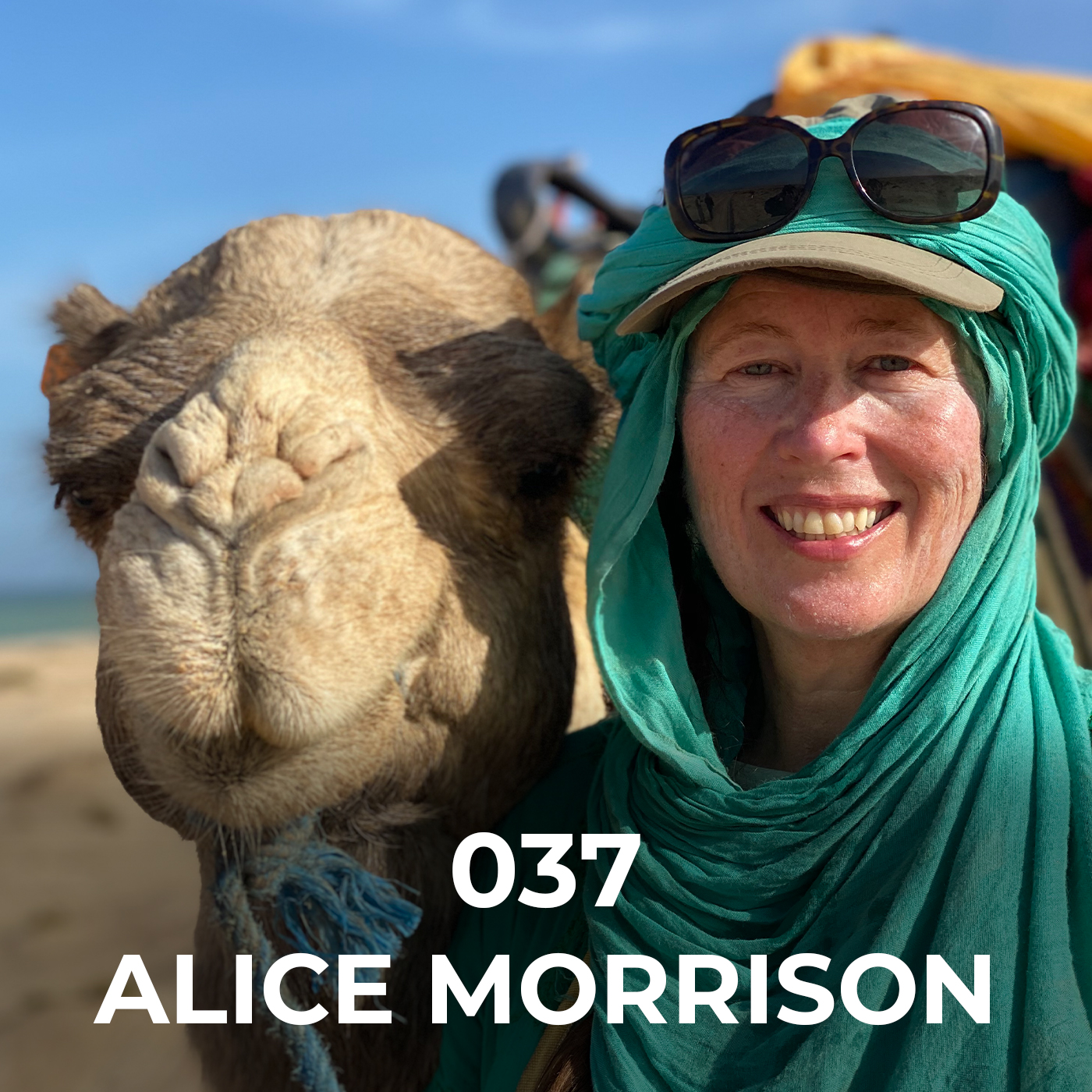 Alice Morrison Trekking Through Morocco With Camel