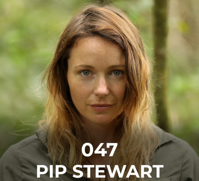 pip-stewart