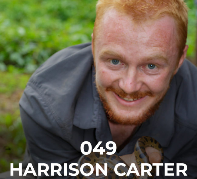 harrison-cater
